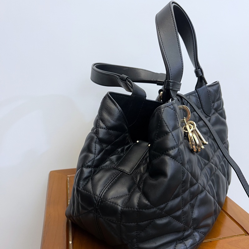 Diot Toujour Bag-3