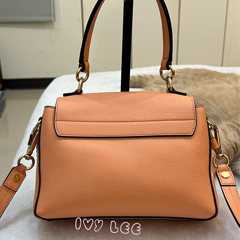 Chloe 牛皮皮革 Faye day bag 鏈扣 斜背包 肩背包 粽橘 粉橘 正品 二手精品-1