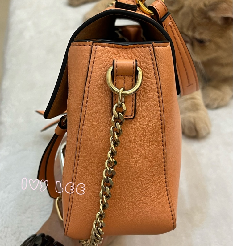 Chloe 牛皮皮革 Faye day bag 鏈扣 斜背包 肩背包 粽橘 粉橘 正品 二手精品-2
