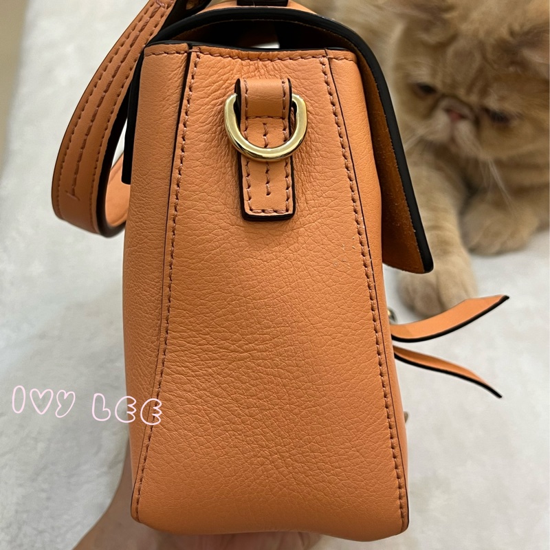 Chloe 牛皮皮革 Faye day bag 鏈扣 斜背包 肩背包 粽橘 粉橘 正品 二手精品-3
