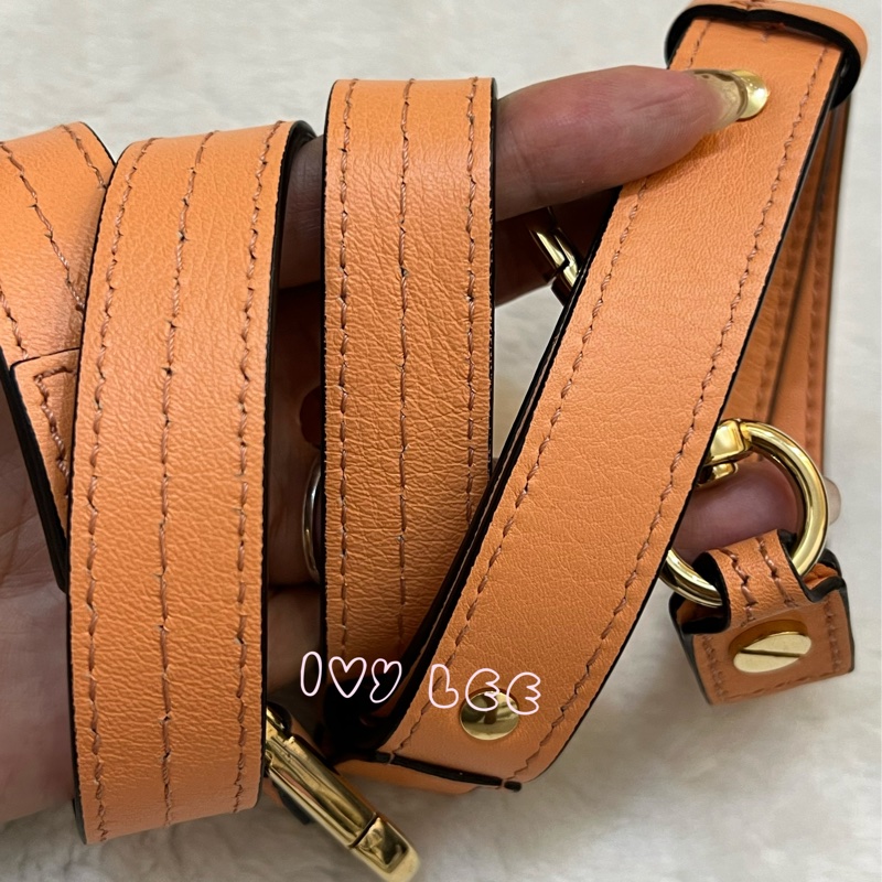 Chloe 牛皮皮革 Faye day bag 鏈扣 斜背包 肩背包 粽橘 粉橘 正品 二手精品-18