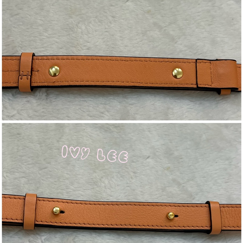 Chloe 牛皮皮革 Faye day bag 鏈扣 斜背包 肩背包 粽橘 粉橘 正品 二手精品-19