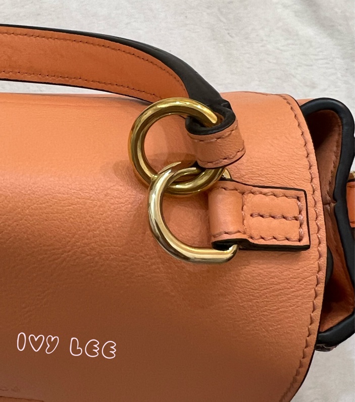 Chloe 牛皮皮革 Faye day bag 鏈扣 斜背包 肩背包 粽橘 粉橘 正品 二手精品-35