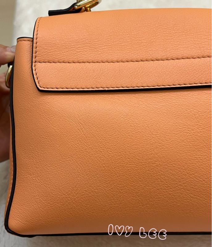 Chloe 牛皮皮革 Faye day bag 鏈扣 斜背包 肩背包 粽橘 粉橘 正品 二手精品-36