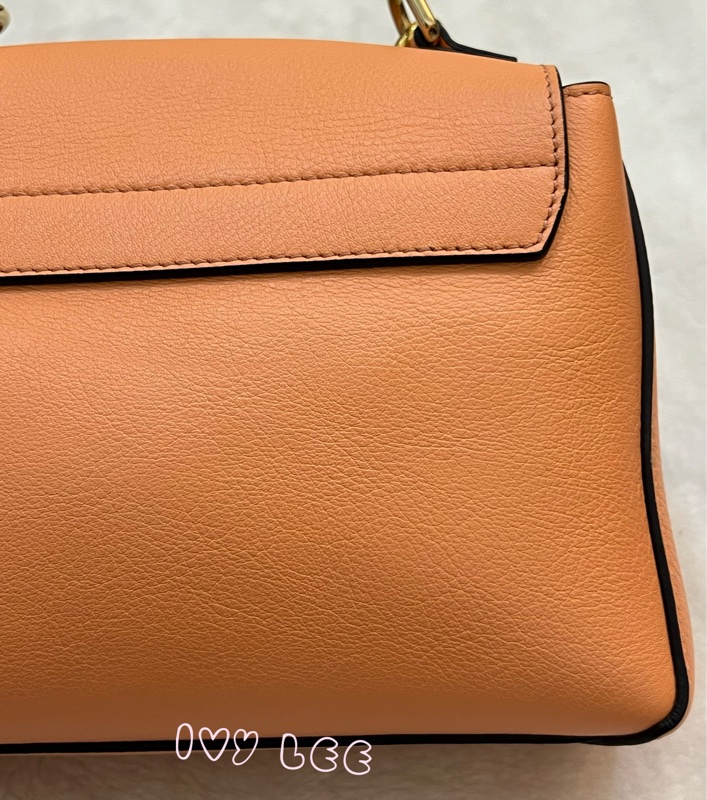 Chloe 牛皮皮革 Faye day bag 鏈扣 斜背包 肩背包 粽橘 粉橘 正品 二手精品-37