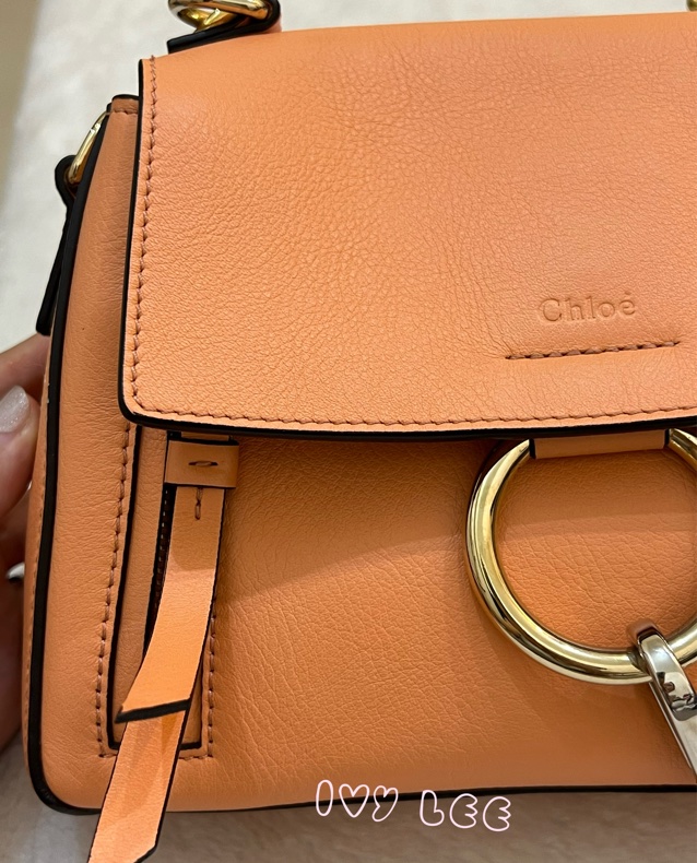 Chloe 牛皮皮革 Faye day bag 鏈扣 斜背包 肩背包 粽橘 粉橘 正品 二手精品-40