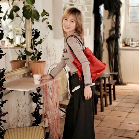 LOEWE Flamenco紅金福袋手提肩背斜背包25.5*19*11 98新配件塵袋