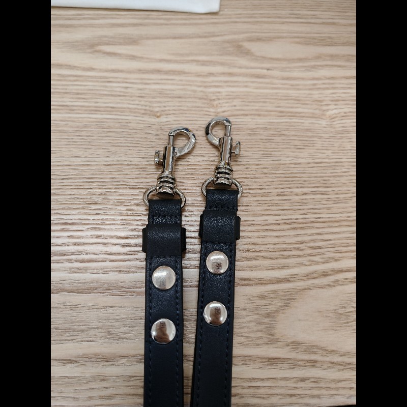 Dior Camera bag 皮帶款-22