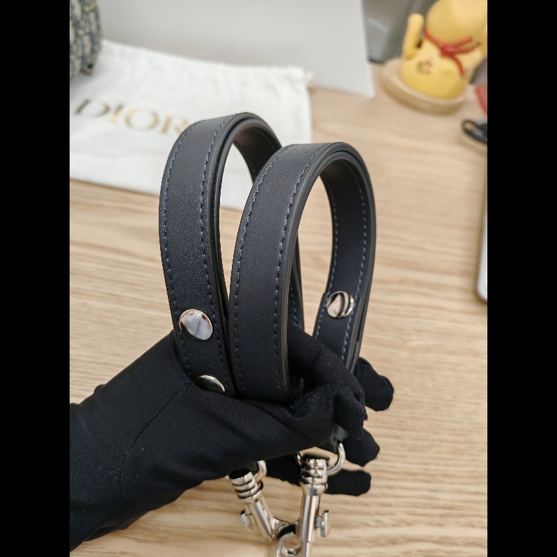 Dior Camera bag 皮帶款-23