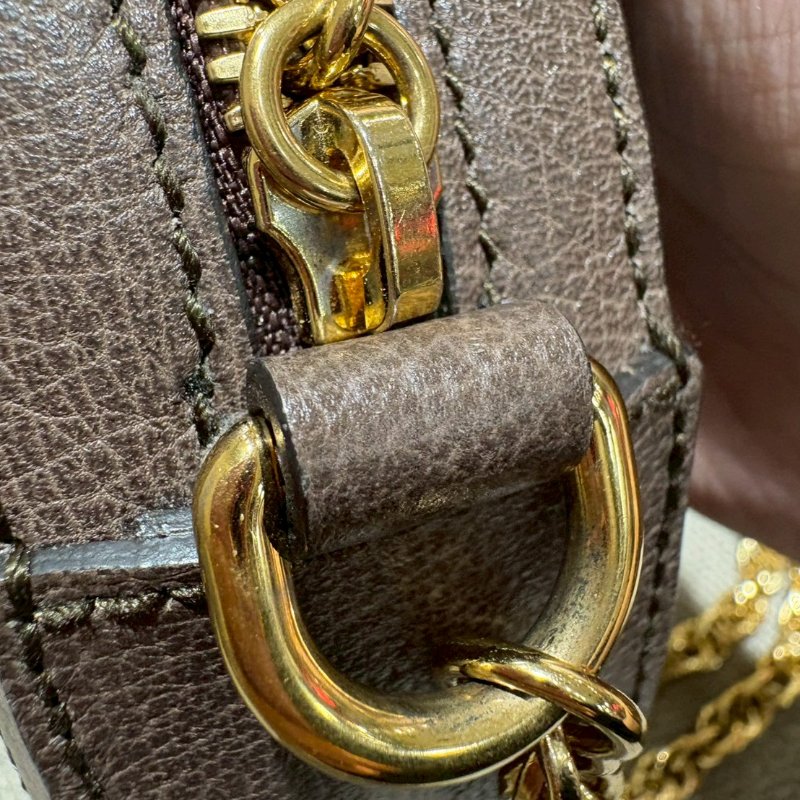 GUCCI Ophidia 系列圓餅包-12