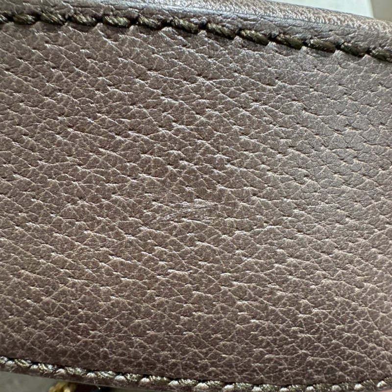 GUCCI Ophidia 系列圓餅包-16