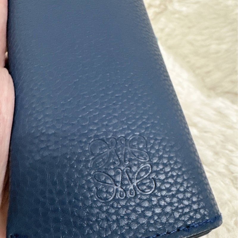 LOEWE 太陽眼鏡-44