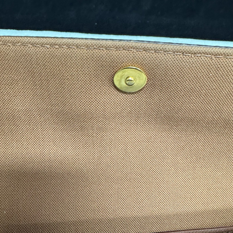 🌷新款芯片款!Louis Vuitton LV 路易威登 Ivy 老花單肩腋下包-17