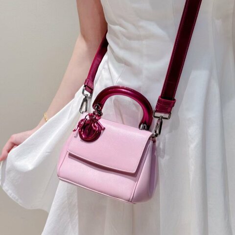 Dior Bedior 粉色拼酒紅色 牛皮mini黛妃15*13cm 98新配件肩帶 保卡