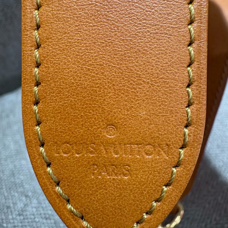 Louis Vuitton Pochette Accessoire XL 仿舊牛皮斜挎包晶片款-21