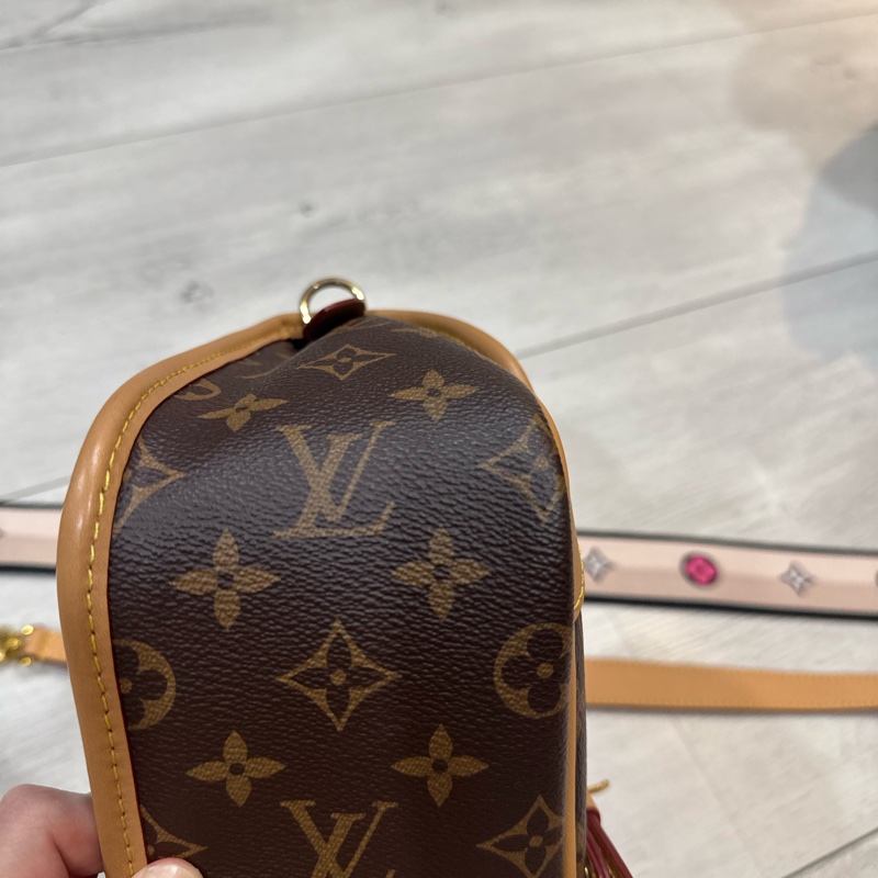 Louis Vuitton Diane 兩用包-9