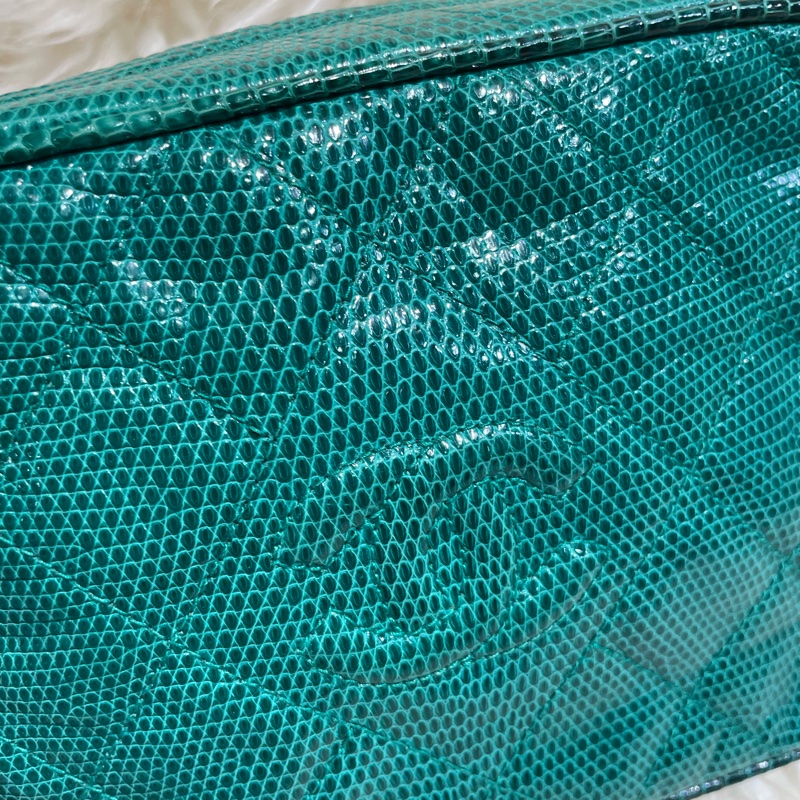 Chanel 中古絕版 稀有蜥蜴皮相機包-6