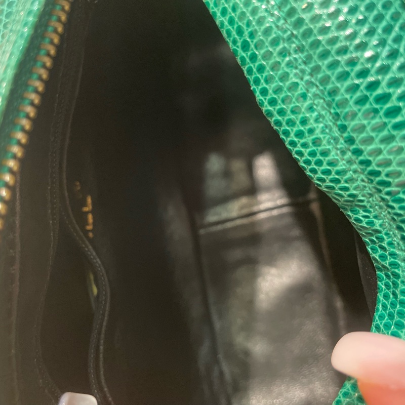 Chanel 中古絕版 稀有蜥蜴皮相機包-8