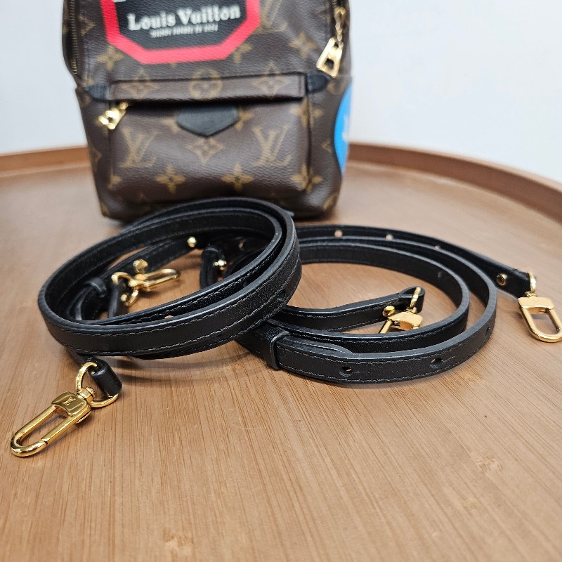LV Palm Springs Mini 拼色老花 背囊-8