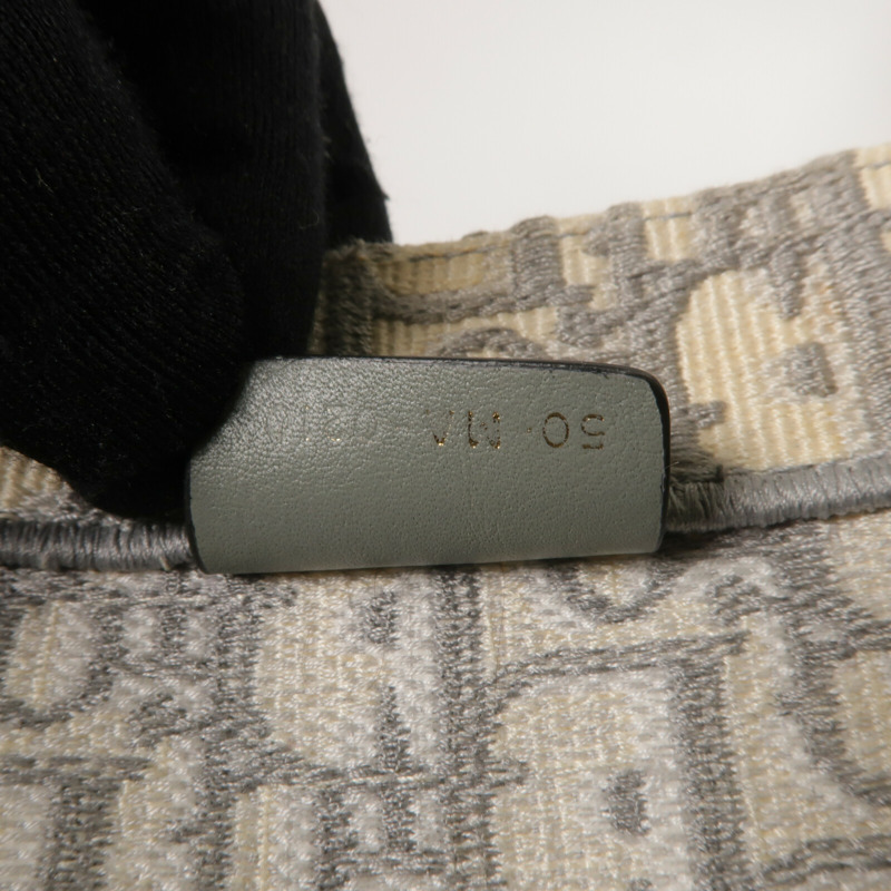 Dior 帆布Book Tote Medium手挽袋-6