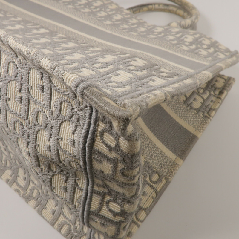 Dior 帆布Book Tote Medium手挽袋-13