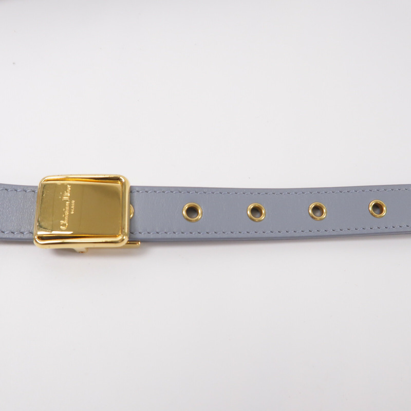 Dior 牛皮皮革30 Montaigne肩背袋-8