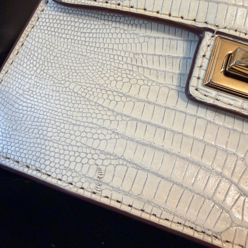 DKNY 鱷魚皮包包 Jojo Mini Leather Mini Crossbody Handbag Purse-12