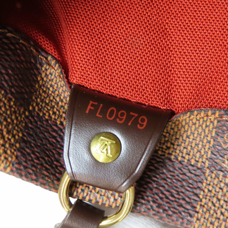 路易威登 N51149 Clifton 女士 Damier 帆布手提包-6