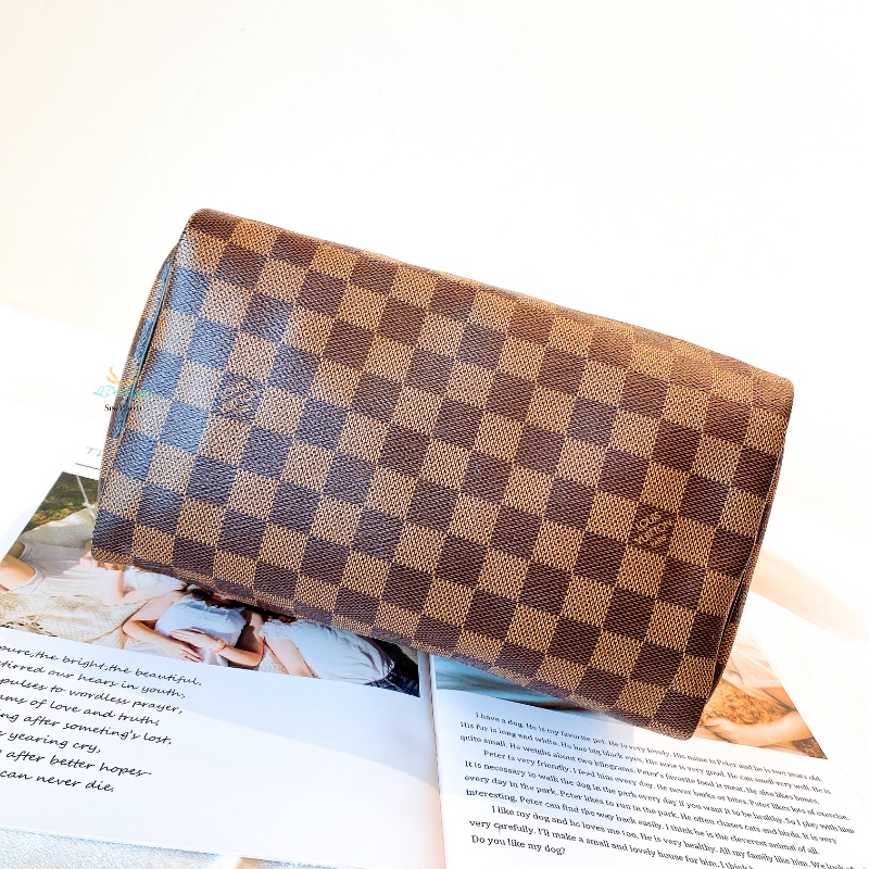 LV Speedy 25 咖啡格紋 手提包 波士頓包-4