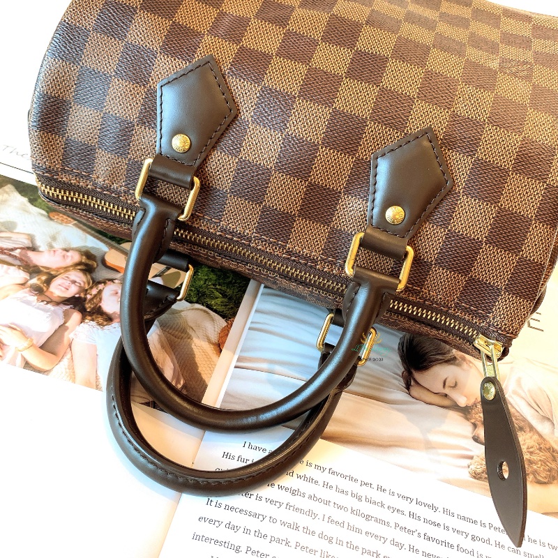 LV Speedy 25 咖啡格紋 手提包 波士頓包-9
