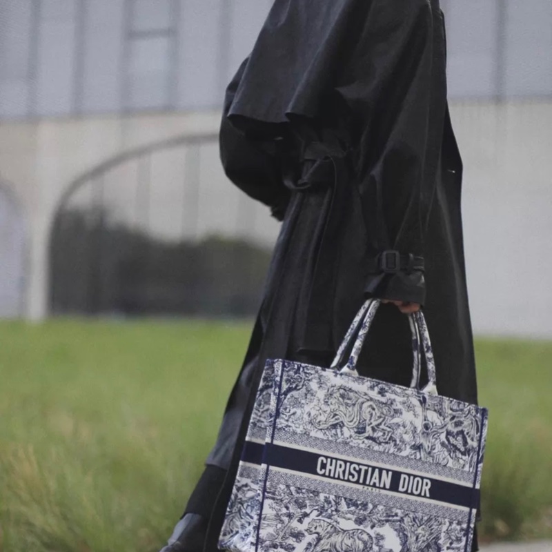 DIOR迪奥 BookTote 动物园 丛林老虎图案茹伊印花-6