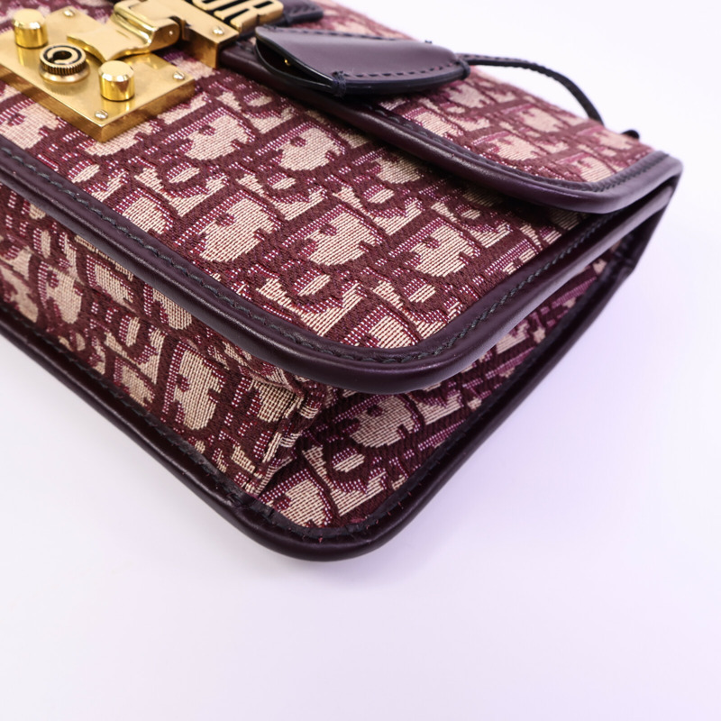 Dior 帆布Dioraddict肩背袋-10