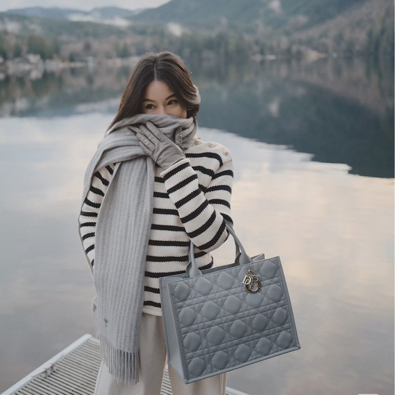 Dior 黛妃包 托特 韓素希同款dior迪奧BookTote托特包購物袋-0