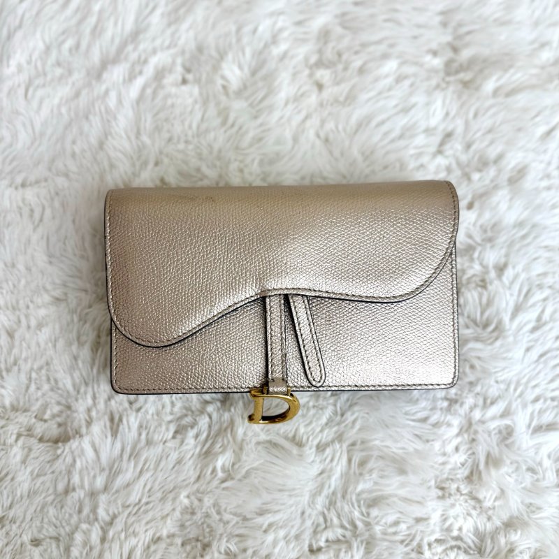 Dior Saddle Belt Pouch 羊皮-1