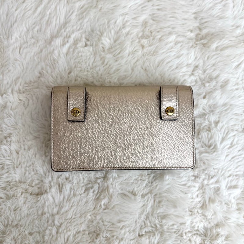 Dior Saddle Belt Pouch 羊皮-2