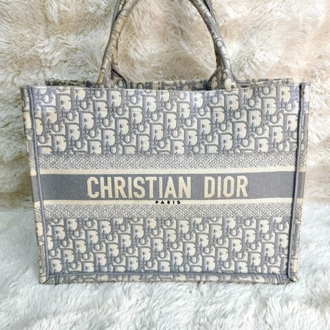 Dior 中號 Book Tote 手袋