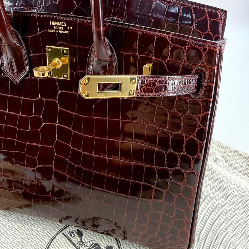 Hermes Birkin 25 Bordeaux Crocodile Leather Handbag with GHW-4