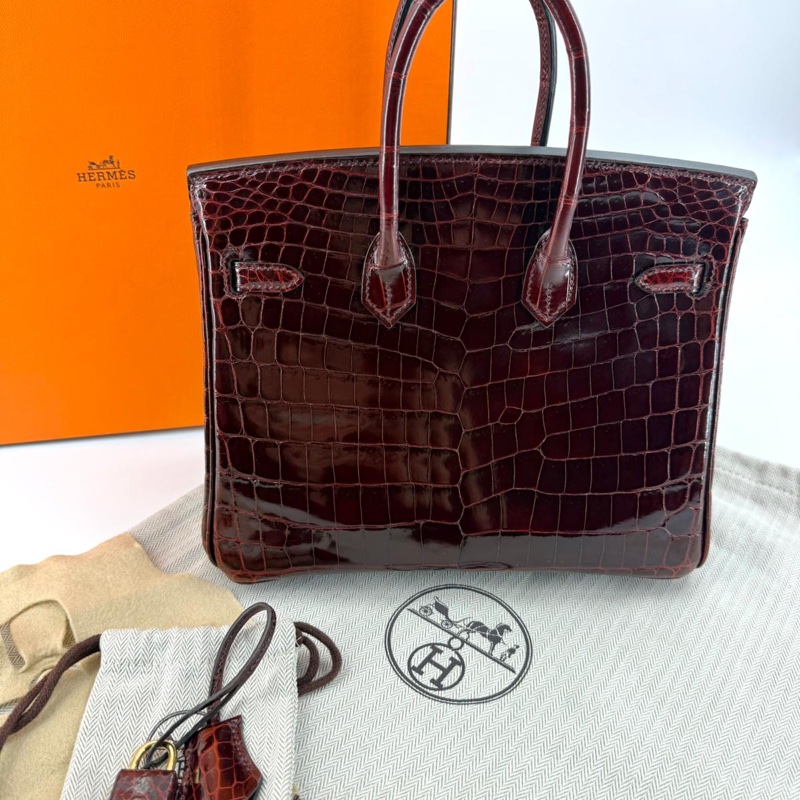 Hermes Birkin 25 Bordeaux Crocodile Leather Handbag with GHW-5