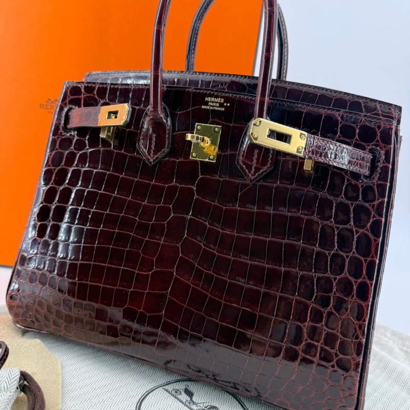 Hermes Birkin 25 Bordeaux Crocodile Leather Handbag with GHW-6