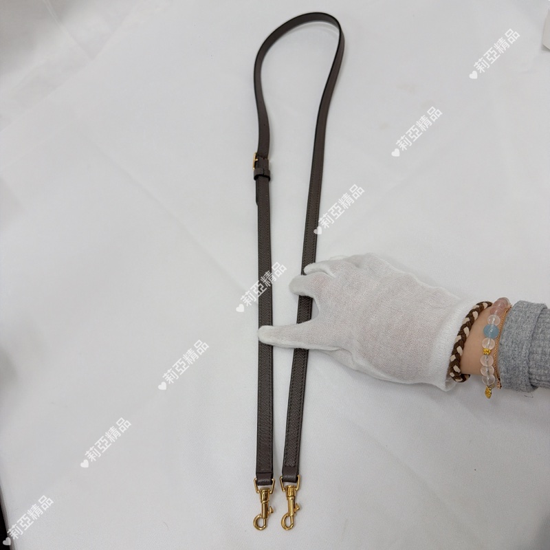 莉亞精品♡Celine Pico大象灰鯰魚包 二手-12