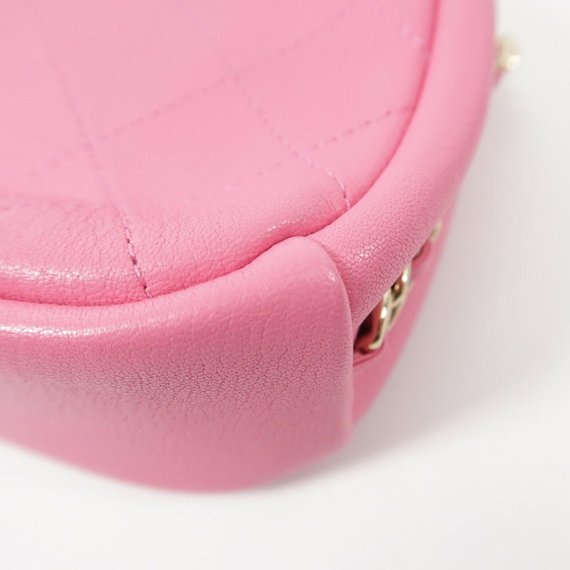 CHANEL 山羊皮革Camera Bag鏈帶肩背袋-14