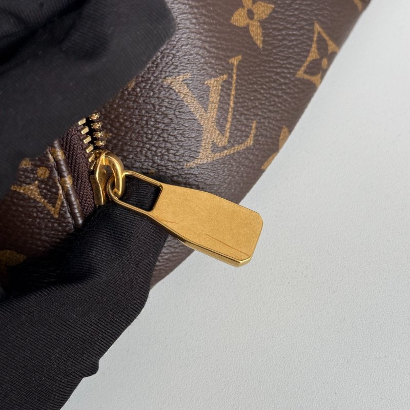 99新🆕 Louis Vuitton LV 路易威登 Rush Bumbag 老花腰包-13