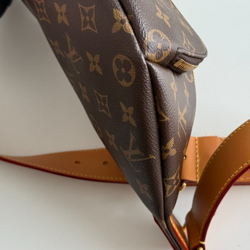 99新🆕 Louis Vuitton LV 路易威登 Rush Bumbag 老花腰包-27