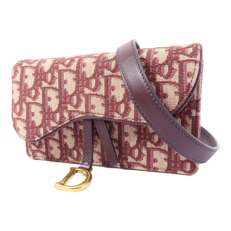Dior 帆布Belt Bag腰包-2