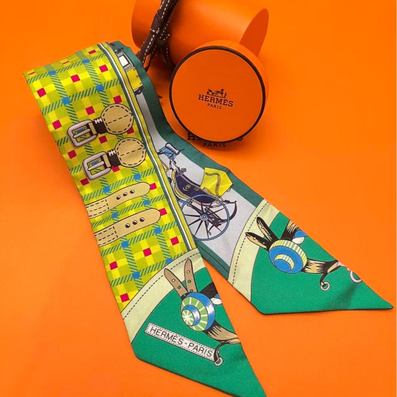 Hermes Les Voitures Nouvelles Twilly（閒置未使用）-0
