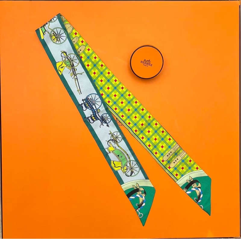 Hermes Les Voitures Nouvelles Twilly（閒置未使用）-1
