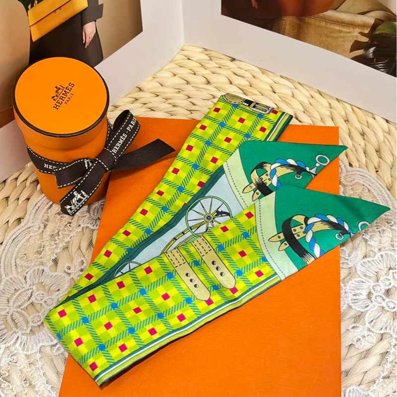 Hermes Les Voitures Nouvelles Twilly（閒置未使用）-2