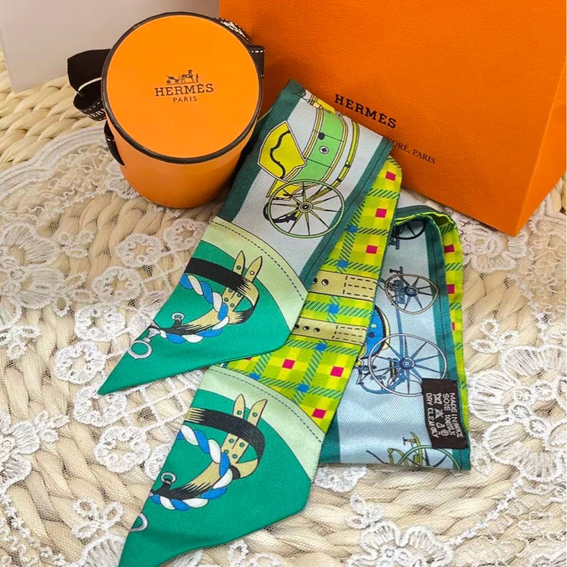Hermes Les Voitures Nouvelles Twilly（閒置未使用）-3