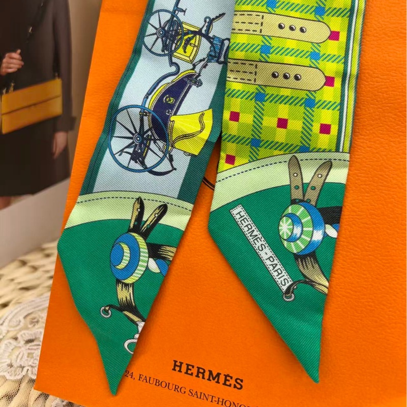 Hermes Les Voitures Nouvelles Twilly（閒置未使用）-4