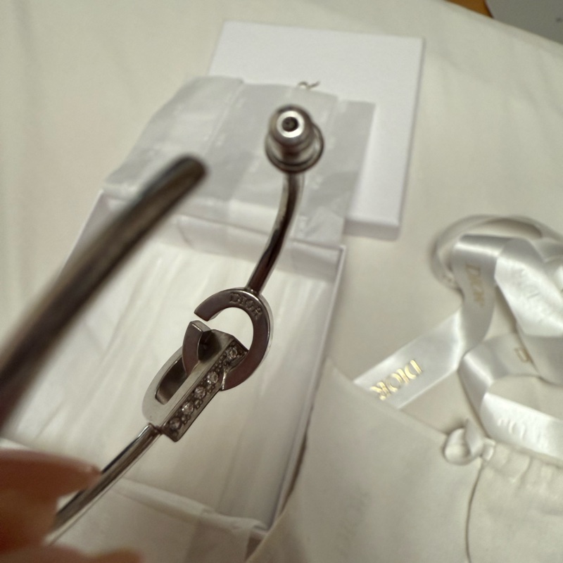 Christian Dior earrings-5
